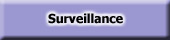 Surveillance